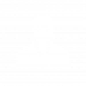 SaS Kernsoftware inklusive Module Administration und Bank